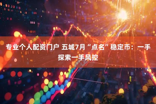 专业个人配资门户 五城7月“点名”稳定币：一手探索一手风控